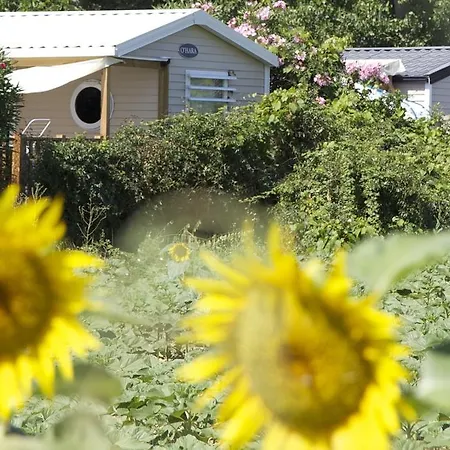 Camping Les Jardins D'elsa 3* فيا