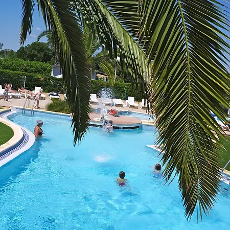 Camping Les Jardins D'elsa 3* فيا